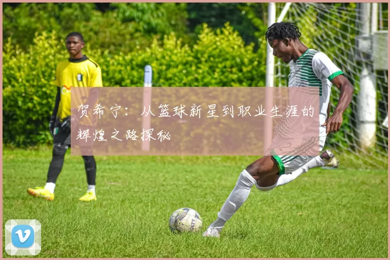 贺希宁：从篮球新星到职业生涯的辉煌之路探秘