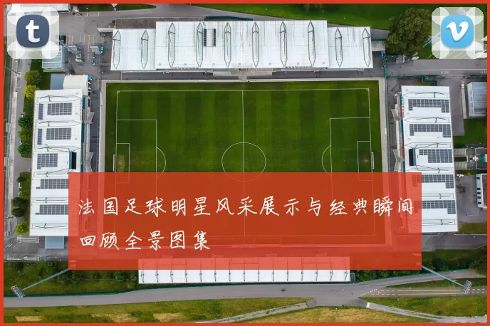 法国足球明星风采展示与经典瞬间回顾全景图集