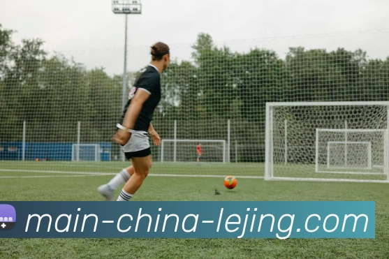 乐竞体育平台生态图